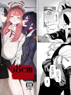 68cm アウトロー【網状意識】